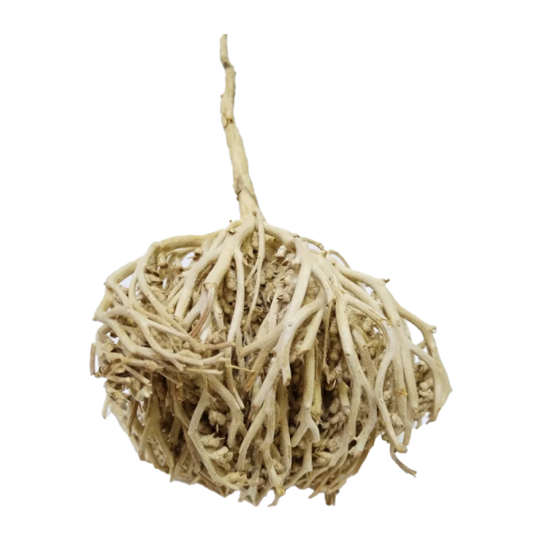 Item Title